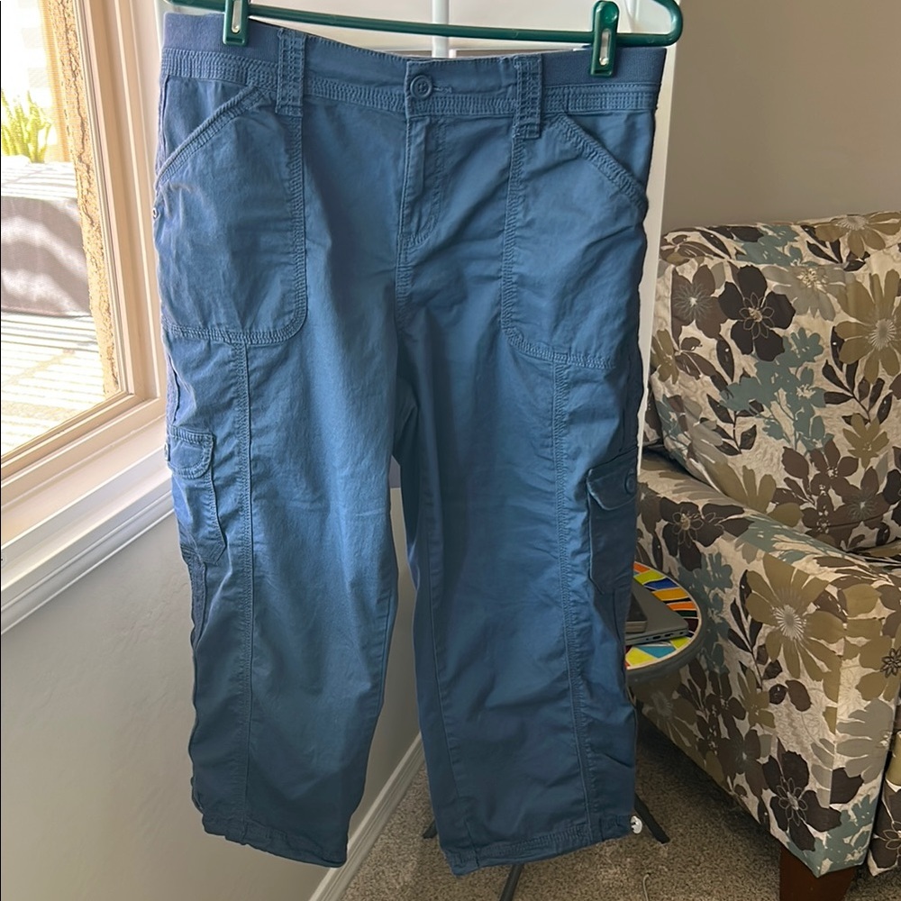 Macys InStyle Blue Cargo Pants